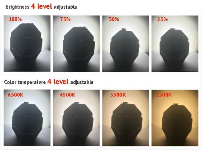 2 1개의 고성능 CRI 95 LED 차에 대하여 UV 치료 빛을 가진 색깔 일치를 위한 빛을 자세히 설명합니다 3